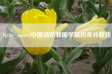 宜春中国消防救援学院历年分数线