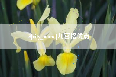 宜春九宫格优点
