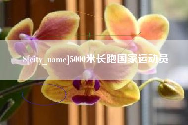 宜春5000米长跑国家运动员