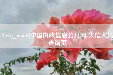 宜春中国执政信息公开网-失信人员查询页