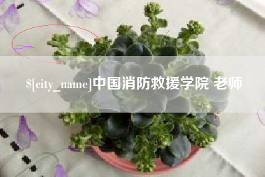 宜春中国消防救援学院 老师