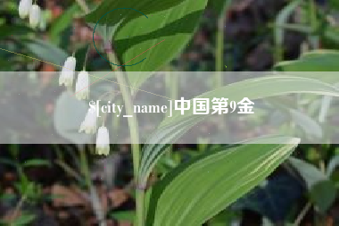 宜春中国第9金