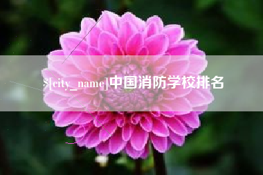 宜春中国消防学校排名