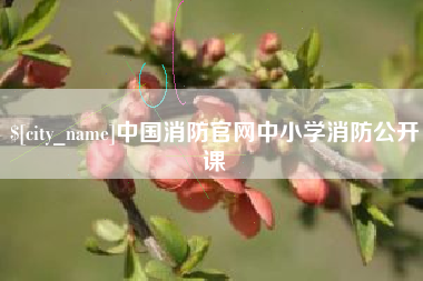 宜春中国消防官网中小学消防公开课