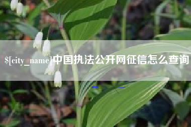 宜春中国执法公开网征信怎么查询