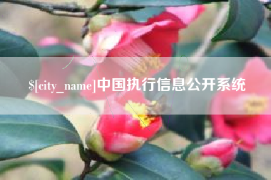 宜春中国执行信息公开系统