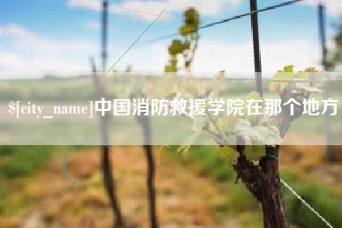 宜春中国消防救援学院在那个地方