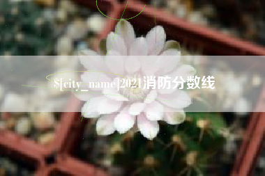 宜春2021消防分数线