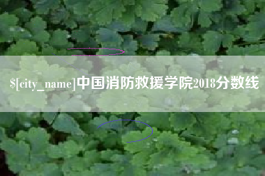 宜春中国消防救援学院2018分数线