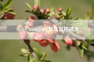 宜春2021年九宫格风水