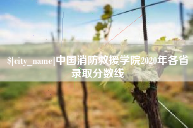 宜春中国消防救援学院2020年各省录取分数线