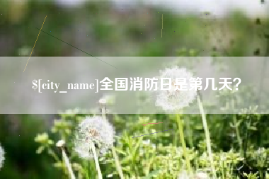 宜春全国消防日是第几天？