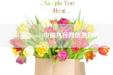 宜春中国执行网信息官网
