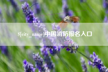 宜春中国消防报名入口