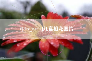 宜春九宫格龙图片