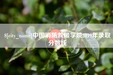 宜春中国消防救援学院2019年录取分数线