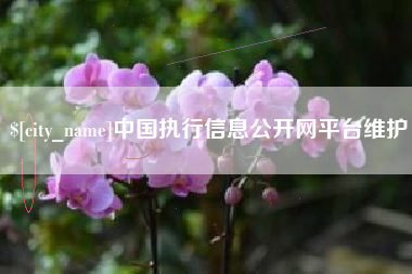 宜春中国执行信息公开网平台维护