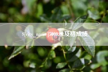 宜春5000米及格成绩