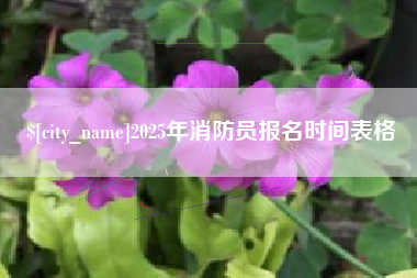 宜春2025年消防员报名时间表格