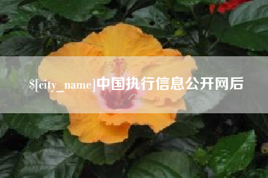 宜春中国执行信息公开网后