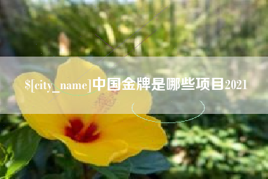 宜春中国金牌是哪些项目2021