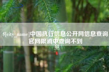 宜春中国执行信息公开网信息查询官网限消中查询不到