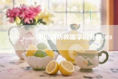 宜春中国消防救援学院分数2020