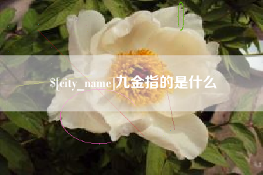 宜春九金指的是什么