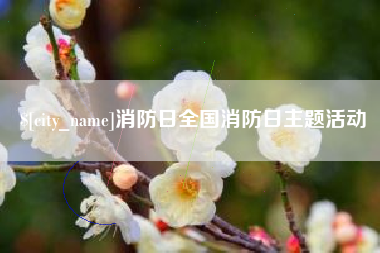 宜春消防日全国消防日主题活动