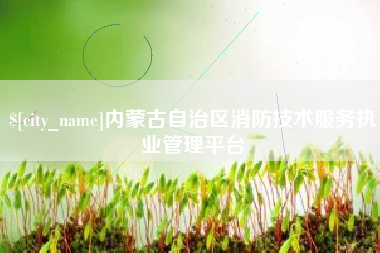 宜春内蒙古自治区消防技术服务执业管理平台