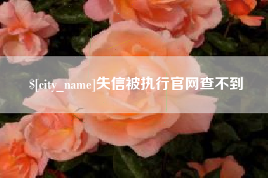 宜春失信被执行官网查不到