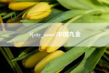 宜春中国九金