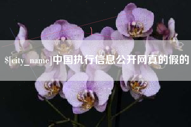 宜春中国执行信息公开网真的假的