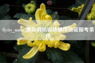 宜春重庆消防设施操作员证报考条件