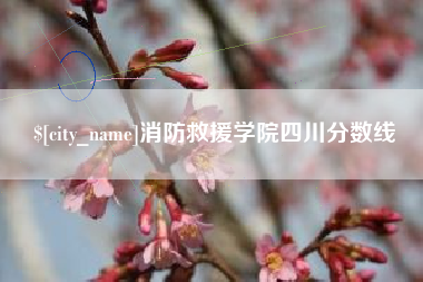 宜春消防救援学院四川分数线