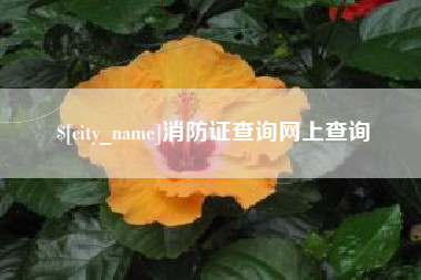 宜春消防证查询网上查询