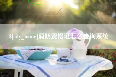 宜春消防资格证怎么查询系统