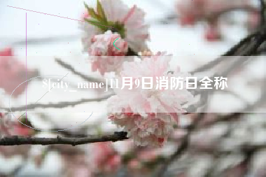 宜春11月9日消防日全称