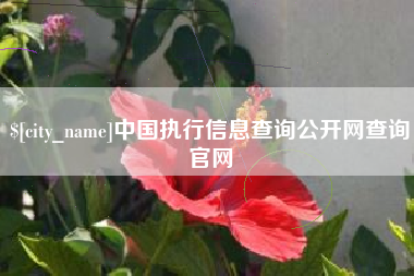 宜春中国执行信息查询公开网查询官网