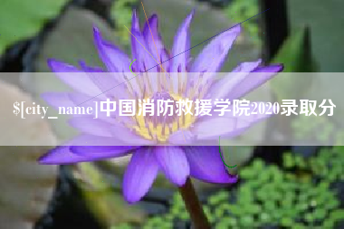 宜春中国消防救援学院2020录取分
