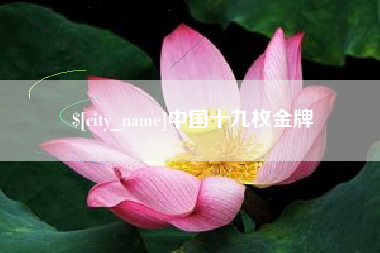 宜春中国十九枚金牌
