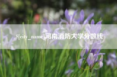 宜春河南消防大学分数线