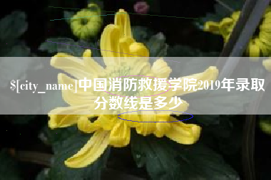 宜春中国消防救援学院2019年录取分数线是多少