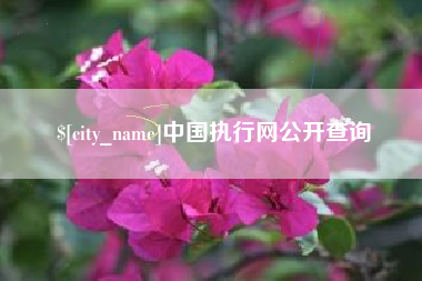 宜春中国执行网公开查询