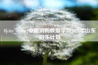 宜春中国消防救援学院2021年山东招生计划