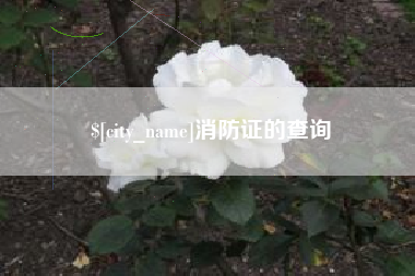 宜春消防证的查询