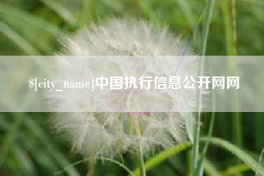 宜春中国执行信息公开网网