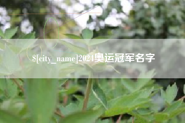 宜春2024奥运冠军名字
