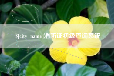 宜春消防证初级查询系统