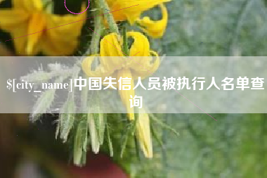 宜春中国失信人员被执行人名单查询